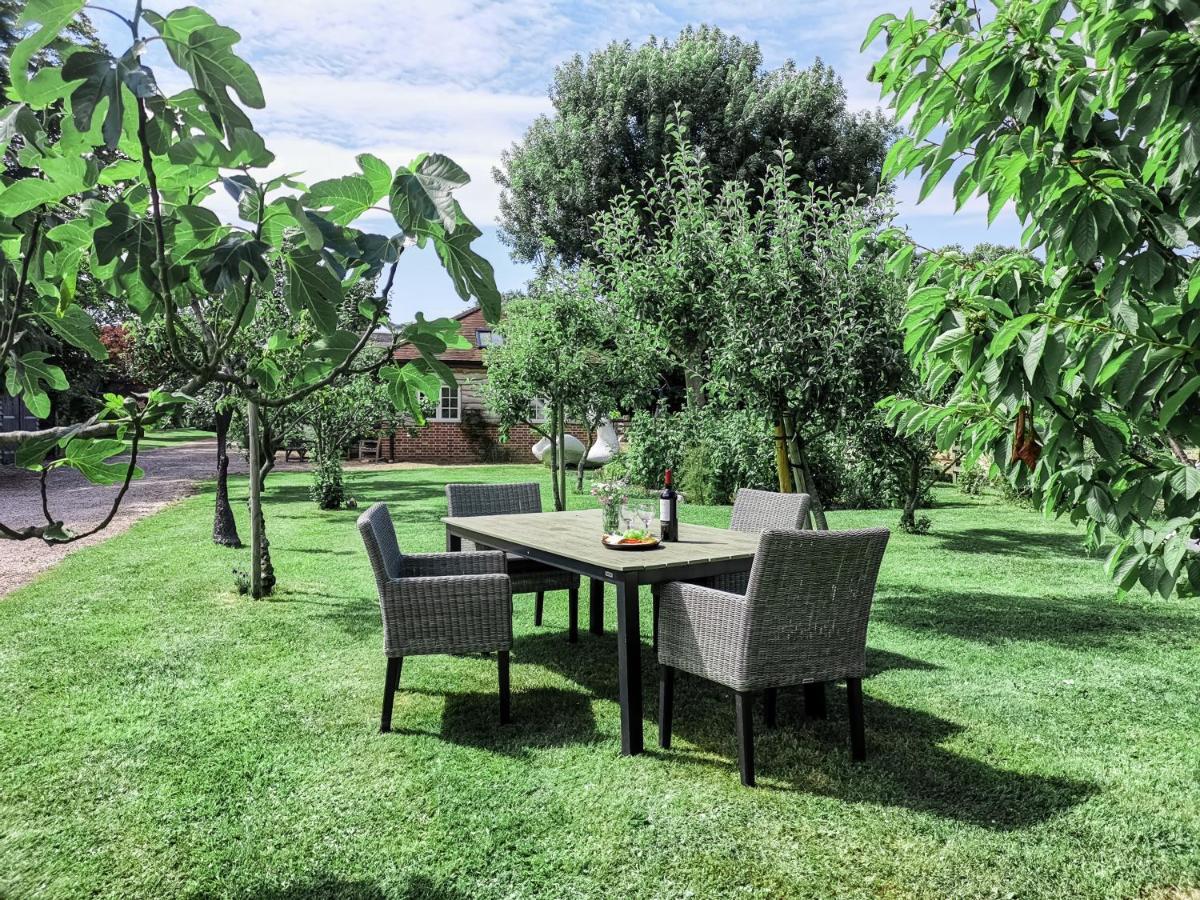 Chichester Cottage Funtington المظهر الخارجي الصورة